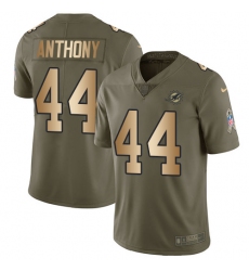 Youth Nike Miami Dolphins #44 Stephone Anthony Limited Olive/Gold 2017 Salute to Service NFL Jersey